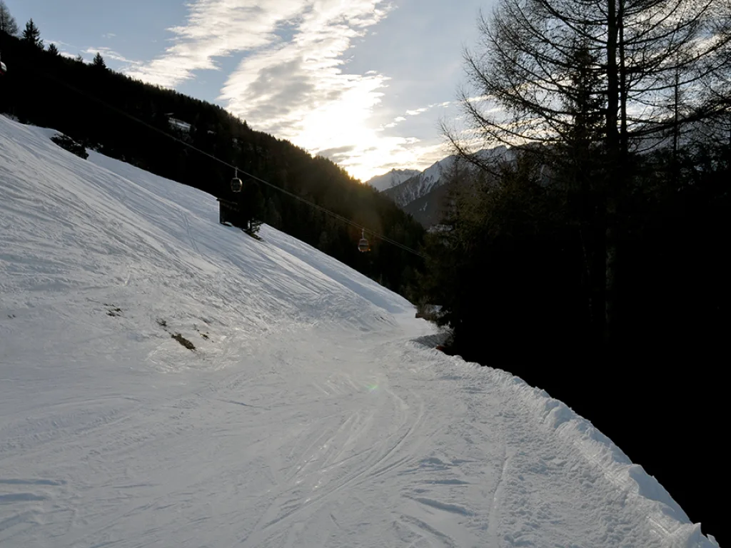 Piste im Abendlicht mit dunklem Waldrand.